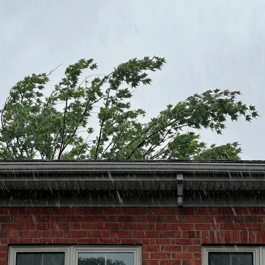 Heavy rain falls past the roofline of a red brick house, with a wind-blown maple tree behind the gutter and downspout against a pale grey sky.