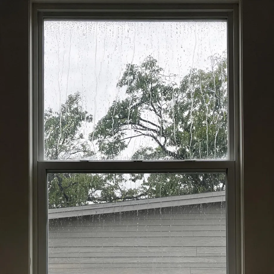View through a rain-streaked double-hung window showing green trees against a pale overcast sky and the gray lap-sided wall and sloping roof edge of a neighboring building.