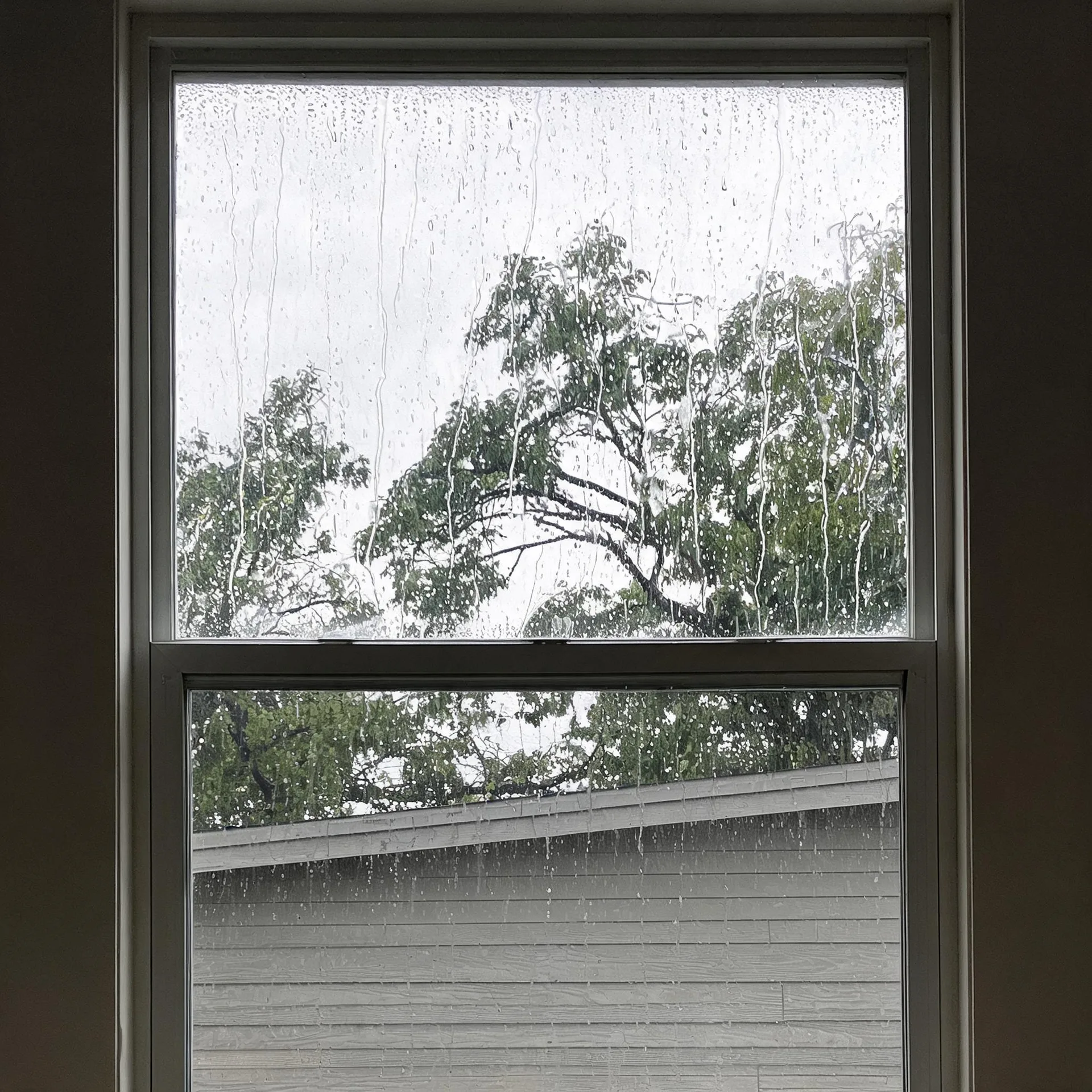 View through a rain-streaked double-hung window showing green trees against a pale overcast sky and the gray lap-sided wall and sloping roof edge of a neighboring building.