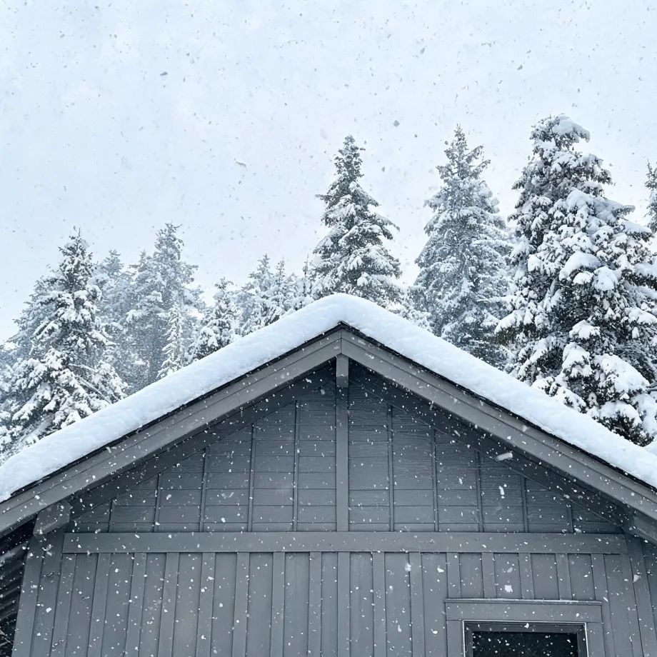 The gray board-and-batten gable end of a building with a snow-covered roof, seen during falling snow with snow-laden conifers behind it.
