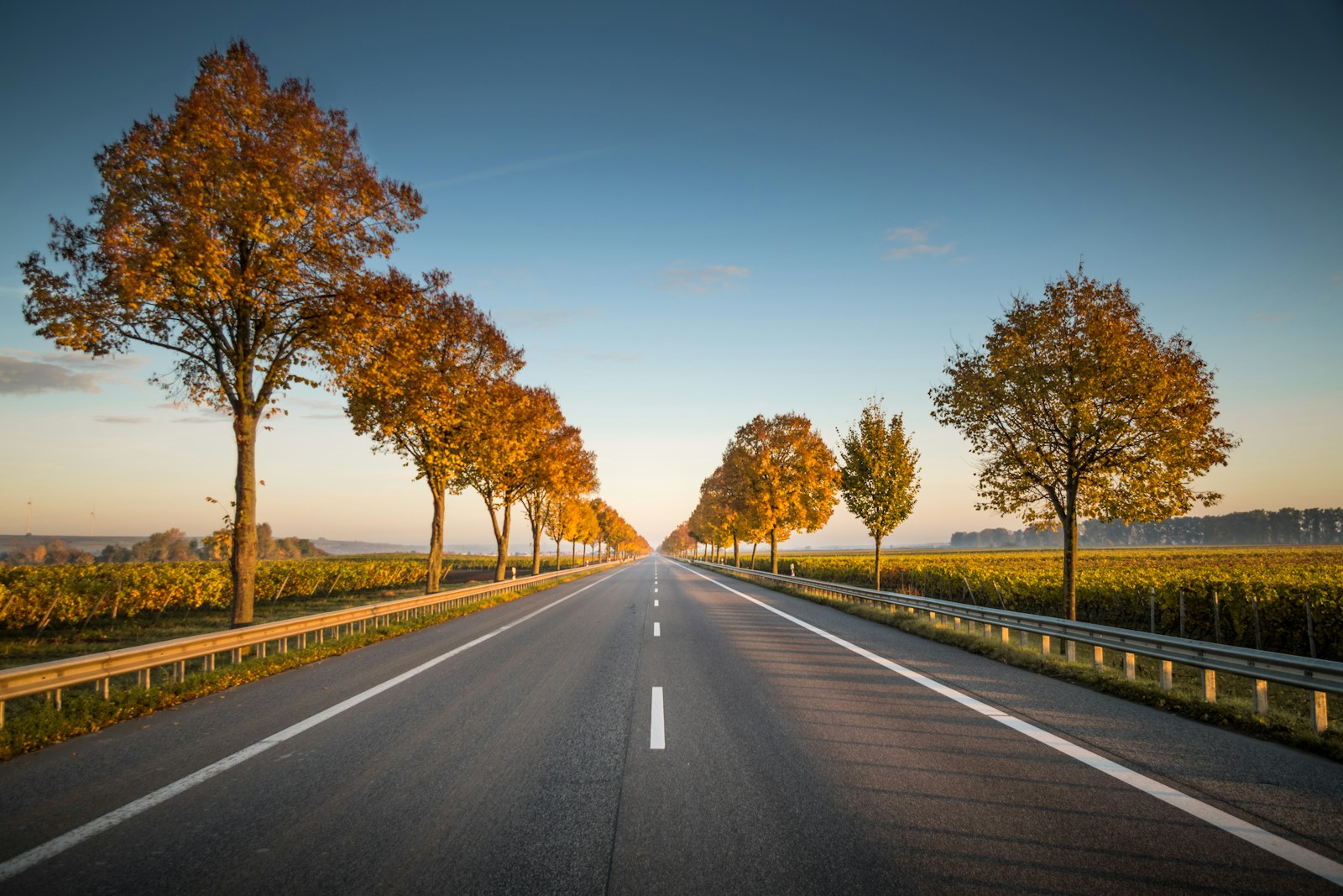 Check Your NY Points: DMV Portal Walkthrough | Points On License Insurance